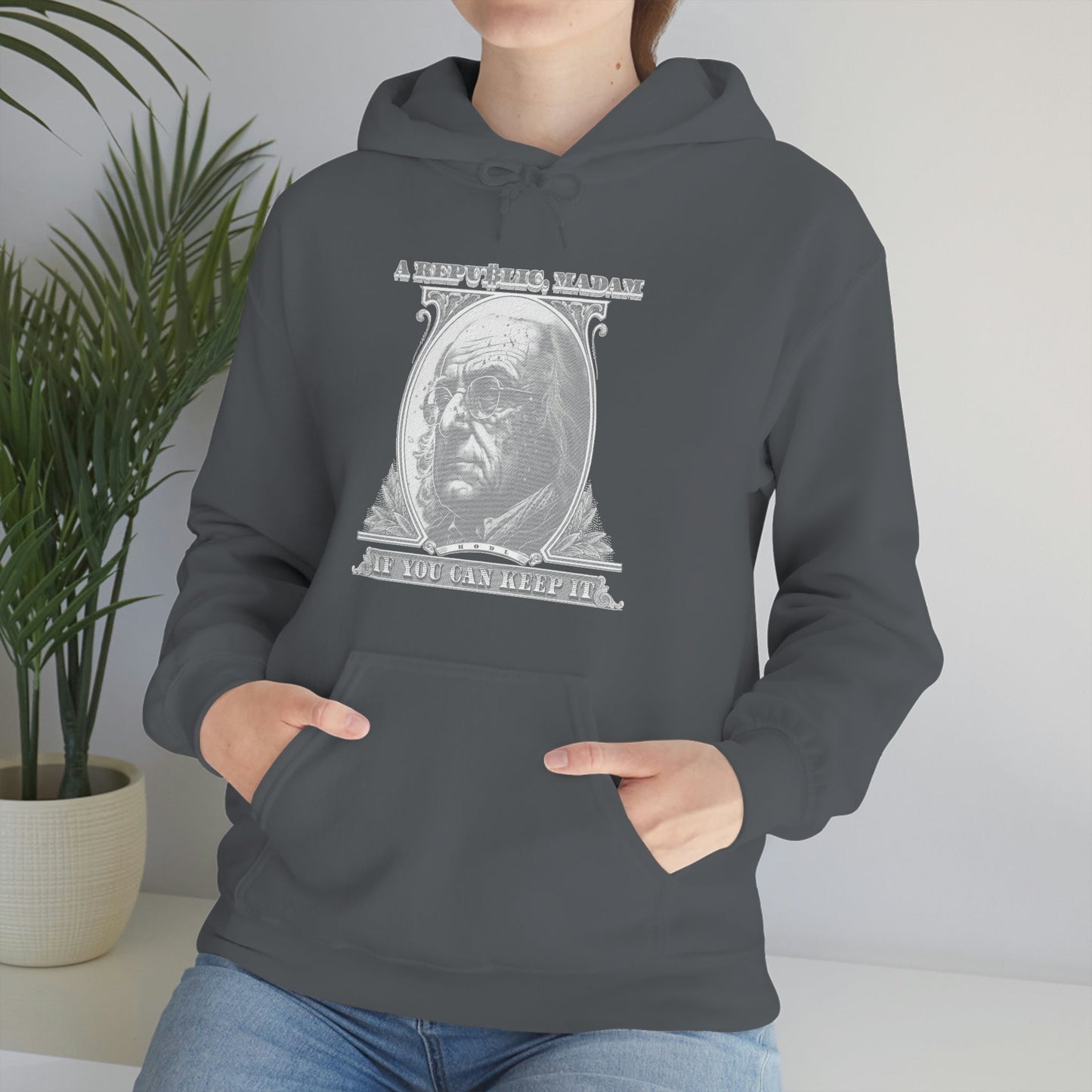 Franklin Bitcoin Hoodie - Crypto Republic - Bind on Equip - 23406105477654015751