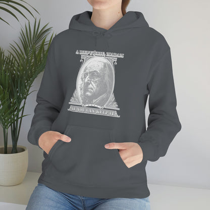 Franklin Bitcoin Hoodie - Crypto Republic - Bind on Equip - 23406105477654015751